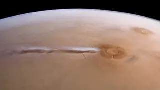 Image via Sci.News