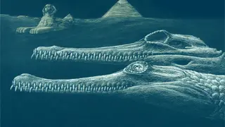 Image via Sci.News