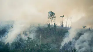 Image via New Scientist