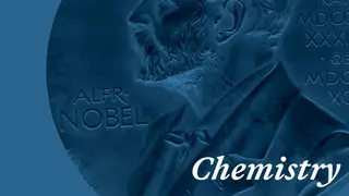 Image via Scientific American