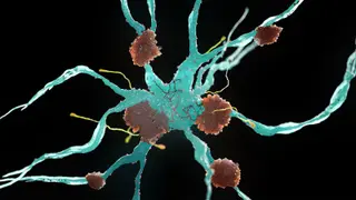 Image via MedPage Today