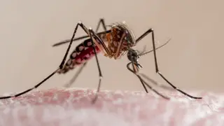 Image via Live Science