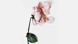 Image via VanityTeen