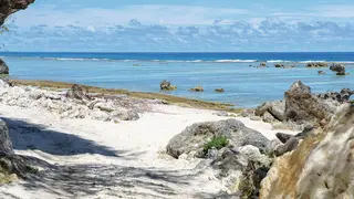 Image via The Garden Island
