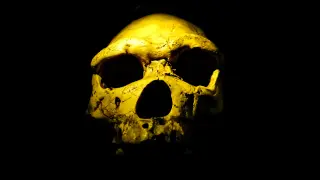 Image via ScienceDaily