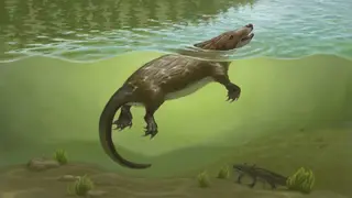 Image via Sci.News