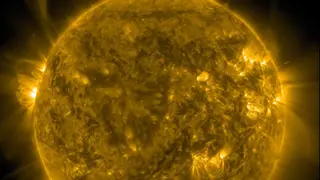 Image via Scientific American