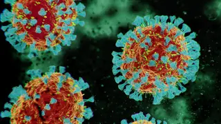 Image via New Scientist