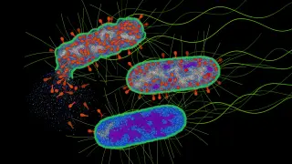 Image via ScienceDaily