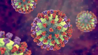 Image via Live Science