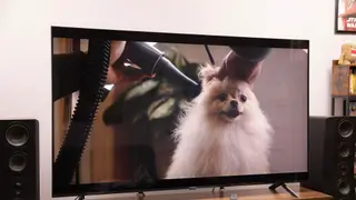 Image via The Verge