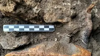 Image via Archaeology News Online Magazine