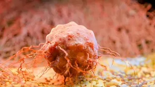 Image via SciTechDaily
