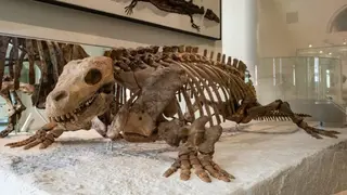 Image via SciTechDaily