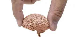 Image via SciTechDaily