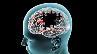 Image via SciTechDaily