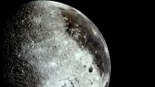 Image via Live Science