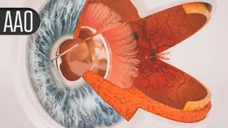 Image via MedPage Today