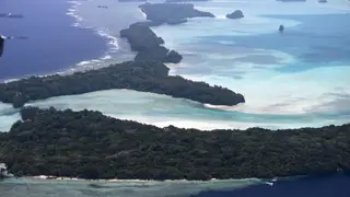 Image via France 24