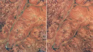 Image via ScienceDaily