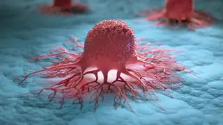 Image via SciTechDaily