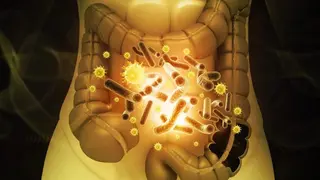 Image via SciTechDaily