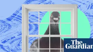 Image via The Guardian