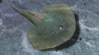 Image via Sci.News