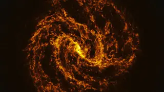 Image via Sci.News