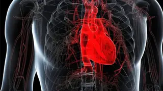 Image via SciTechDaily