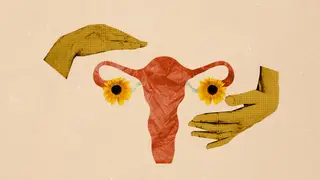 Image via Scientific American