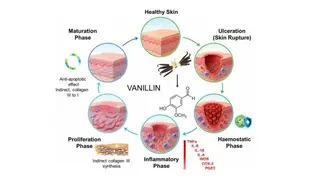 Image via Sci.News
