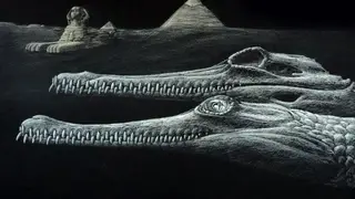 Image via SciTechDaily