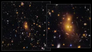 Image via ScienceDaily