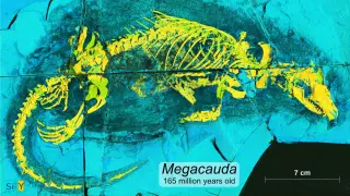Image via ScienceDaily