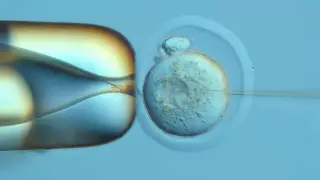 Image via ScienceDaily