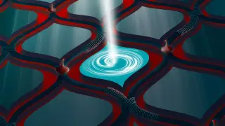 Image via ScienceDaily