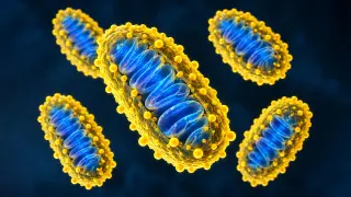 Image via ScienceDaily