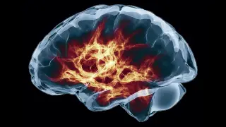 Image via ScienceDaily