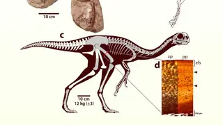 Image via Sci.News