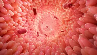 Image via Contagion Live