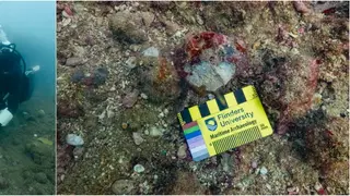 Image via Archaeology News Online Magazine