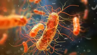 Image via SciTechDaily