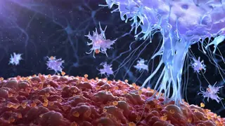 Image via SciTechDaily