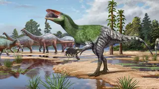 Image via Sci.News