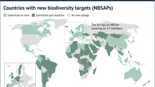 Image via Carbon Brief