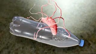 Image via ScienceDaily