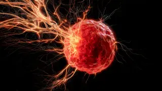 Image via ScienceDaily