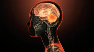 Image via Live Science