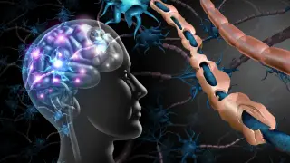 Image via ScienceDaily
